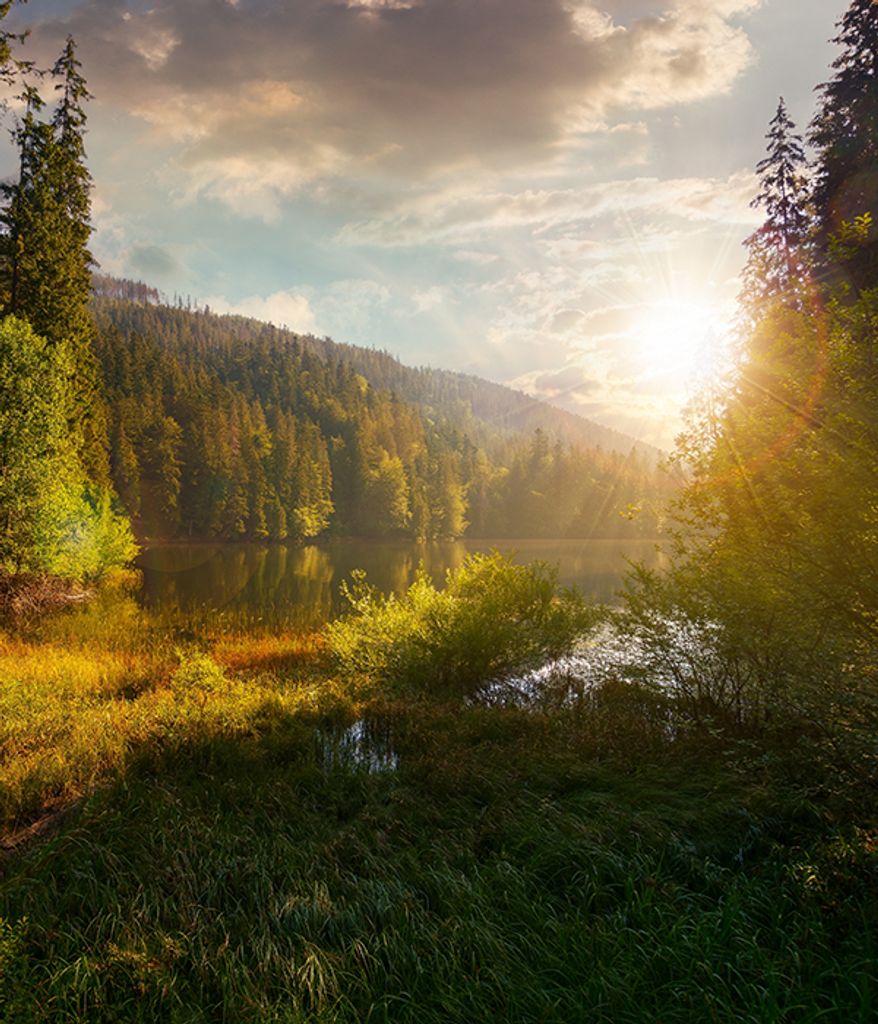 Mr. Jimmy Lamar Henson