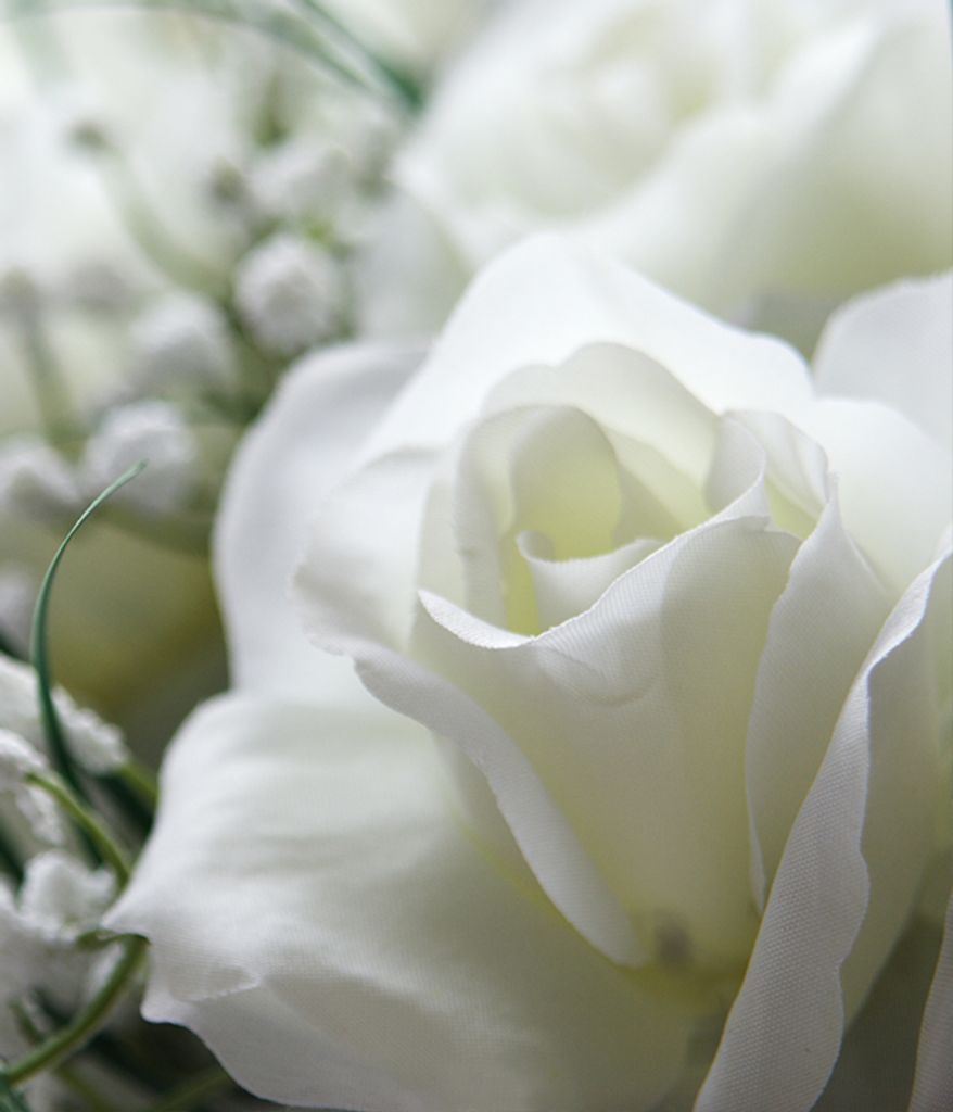 Carolyn Boston Helms