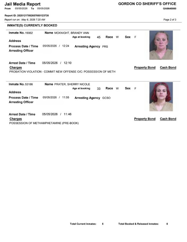 Gordon County Arrest report 2