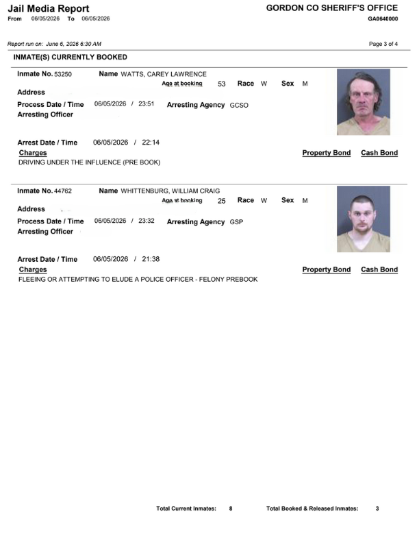 Gordon County Arrest report 3